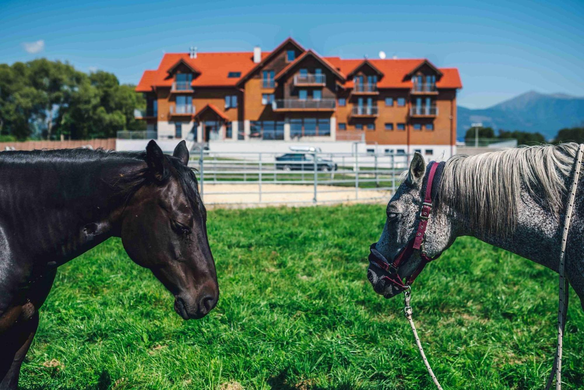 Penzion Kamence Liptovský Mikuláš Exterior foto